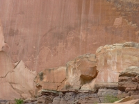 Petroglyphs at Capitol Reef